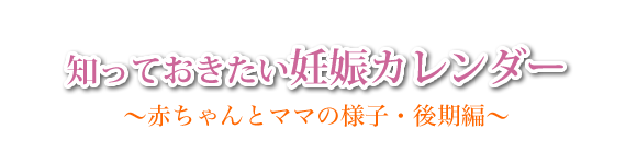 知っておきたい　妊娠カレンダー